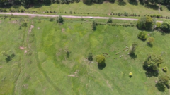 bird's eye aerial photo taken of farmland with cattle